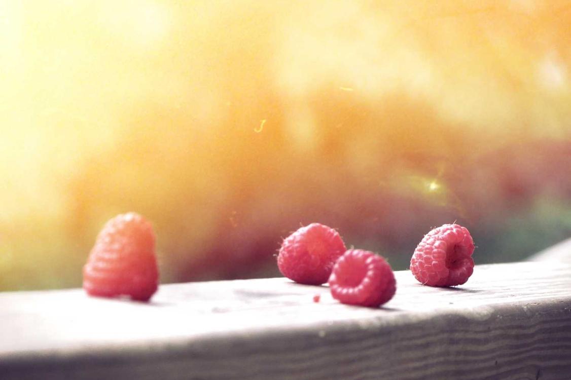 Animi ad dolore quae voluptatem